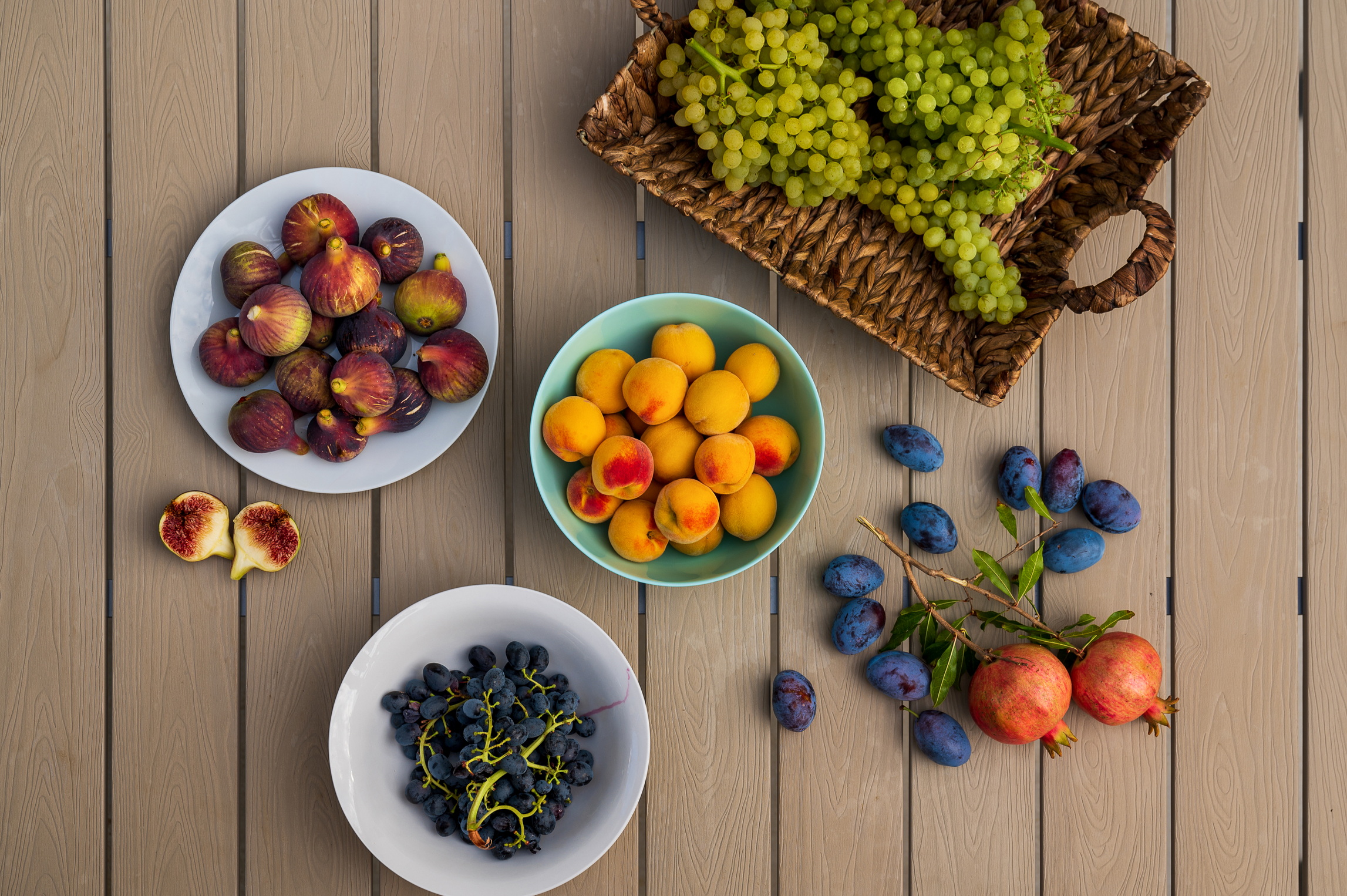 Olitrus 022 Olitrus 022